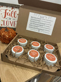 Fall Discovery Set